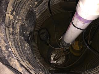 Inside the Old Sump Pump