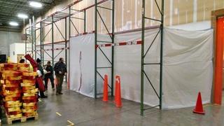 Full Mold Removal
