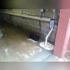 Triple Safe Complete Pump keeping this basement dry!