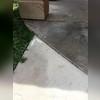 Concrete grinding