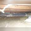 Our customer (or someone working on her home) at some point attempted to insulate the crawl space by packing fiberglass insulation around the walls and then using some sort of sheeting to hold it in place. This doesn't work because the insulation is too porous and also easily affected my mold and...