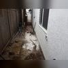 Preparing to dig, to expose the homes footings.