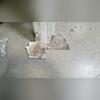 Our drying team was able to help these Libertyville homeowners, when their air conditioner leaked and they had water damage in their basement.