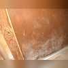 This is a photo we grabbed during the initial inspection. This is what is left behind once an area has flooded multiple times.