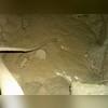 The owners did not exaggerate when they described this home to us. The copious amounts of water in the crawlspace was causing the  floor to turn almost completely into a swamp. There was no walking around in this mess without being extra careful.