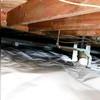 CleanSpace used to encapsulate the crawl space