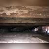 This crawl space has a major moisture problem, and mold and mildew have grown on to the wooden joists and girders. Mold spores will grow on any organic materials within the crawl space, so long as the relative humidity is above 60%, and the temperature is above 70 degrees Fahrenheit. Mold will give...