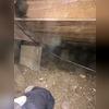 This is the crawlspace under a portion of the home were the piers and beams will be adjusted once the home has been lifted with the push piers. 