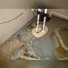 This house had such a high water table, we had to put in several sump pumps