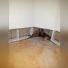 MAPS 1 is an EPA registered antimicrobial that attacks mold on a cellular level and kills it immediately.