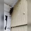 I then removed the nest, sealed up the area with a waterproof adhesive, and disposed of the yellow jacket nest.