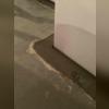 Painting basement walls can look nice, but over time flaking and staining can occur.  Our BrightWall walling systems act as a flashing for foundation seepage, and also cleans and brightens even the darkest of basements!