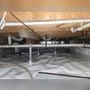 SmartJack support posts installed to stabilize the sagging floor joists in the crawl space