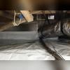 The CleanSpace Encapsulation System keeps bugs and critters out of the crawl space by taking away the moist environment that they thrive in.