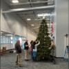 Decorating the holiday tree