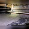 There are tears and gaps in this vapor barrier that is allowing the earth's moisture to rise into the crawl space and raise the relative humidity. This raised relative humidity had led to mold and mildew growth on many of the wooden floor joists. Musty odors and mold spores can make their way up...
