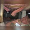 Open vents lined the foundation walls of this crawl space. These vents are allowing the outside air and moisture to flow freely into the crawl space, where it becomes trapped. During the cooler seasons, cold air becomes trapped in the crawl space and causes the floors above to be cold and...