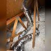 New TruSoft cellulose insulation installed