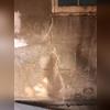 A crack in the wall can lead to water, pests, bacteria and moisture entering.