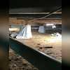 We first started the project by emptying the crawlspace of all debris and waste. 

To help combat moisture and humidity throughout the crawlspace we installed a CleanSpace Encapsulation System over the exterior walls and across the floors.  We attached the system by buttoning along the walls, and...