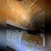 There were a few mold spots in the crawl space. The moisture and humidity had caused mold to form.