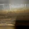This photo shows signs of water seepage in the crawl space, which can lead to structural damage, mold growth, and health hazards.
