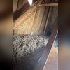 Tru Soft cellulose insulation covers the attic surface.