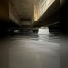 Our CleanSpace Liner is infused with an antimicrobial to prevent mold and fungus growth.