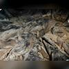 The mud cakes on, the water is then held over the vapor barrier, left to condensate and is absorbed into the wood under the home
