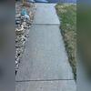 The slabs of this sidewalk are settling into the ground.