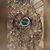 The install of this LawnScape Outlet will ensure water can always escape from the sump pump.