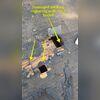 Removing the underlayment to expose the damage boards are a key point to finding where the leaking or rotting of any boards.