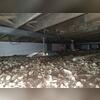 the floor is supported by the Smartjacks and supplemental beam installed by Omni Basement Systems