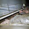 Bits of fallen insulation were found strewn about the crawl space.