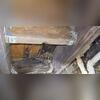 Humidity and moisture in this homeowner's crawl space caused significant wood rot, which let to soft spots in the floor above