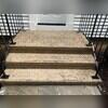 This front stoop is rejuvenated