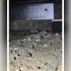 This crawl space was dusty and was once infested with racoons. It needed to be encapsulated to become a healthy area again.