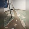 Understanding their frustration and need for a trustworthy solution, we installed our highly effective WaterGuard system. As you can browse through these photos, notice the precision and care in each step of our process. Our mission isn't just to solve problems; it's to restore peace of mind. Now,...