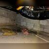 The previous insulation in the crawl space was damaged, wet, and falling down.