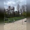 Patio into dog and pool fence.