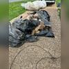 The old vapor barrier and all other debris are removed from the crawl space before the products for this project are installed.