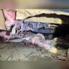 Moisture in the crawl space caused the insulation to become saturated and subsequently detach. This created an environment conducive to mold growth and posed risks for structural issues such as wood rot.