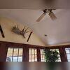 The homeowner observed a concerning fissure in the ceiling of their residence. This fissure extended down the wall, indicating potential foundation settlement issues.