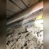 TruSoft™ cellulose insulation was added to improve energy efficiency and reduce heat loss, helping prevent ice dams and high energy bills.