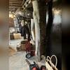 The tree trunks employed as structural supports were inadequate in sustaining the floor above the basement, as indicated by the presence of cracks and the deformation of the supports. Consequently, this resulted in the floors exhibiting sagging and sloping characteristics.
