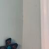 As we inspected the living room, we found multiple areas of the walls that were damaged by the termites.