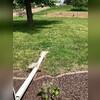 Before extending and burying the downspouts, the homeowner had a legitimate worry: the existing downspout was too close to the house, leading to water pooling around the foundation during heavy rainfall.