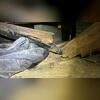 Water had done a great deal of damage to this crawl space wood.