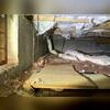 Moisture accumulated in the crawl space, which led to high humidity and the insulation falling out of the joists.