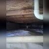 Even in a dark crawl space, the bright white finish of CleanSpace really helps you see how clean your crawl space is!